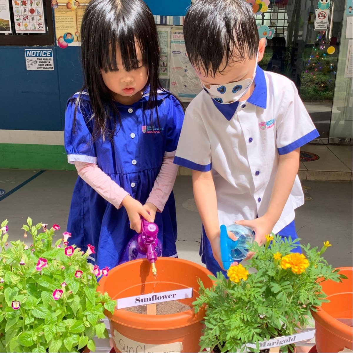 outdoor play benefits