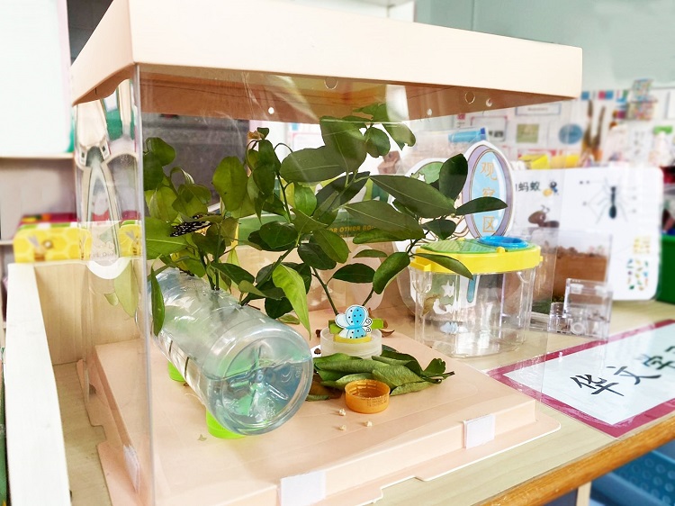 little footprints preschool
